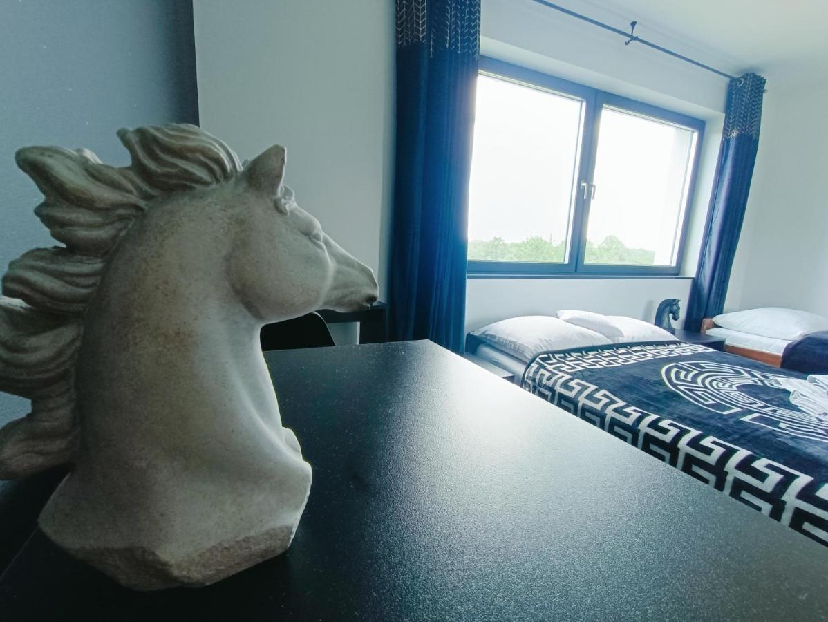 Modern Rancho - Apartamenty Nad Rzeka, Przy Stadninie Koni Kruszyna  エクステリア 写真
